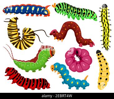 Cartoon caterpillars. Cute summer insects, spring colorful caterpillar. Pretty caterpillar mascots isolated vector illustration set Stock Vector