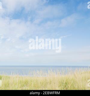 Grass on dunes and sea Stock Photo