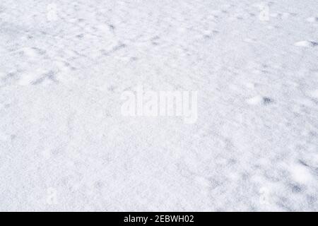 Smooth snowy surface texture Stock Photo