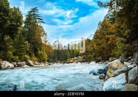 River in the forest. The beautiful river flowing between alpine meadows in the lap of Himalaya,  Parvati valley on a trek to Hamta Pass, 4270 m on the Stock Photo