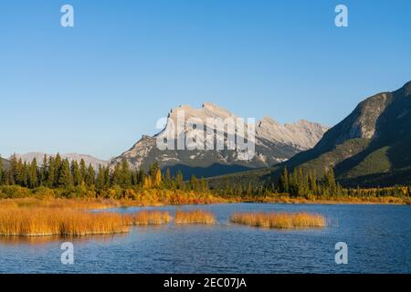 Vermilion Lakes and Mount Rundle autumn foliage scenery in sunset time. Banff National Park, Canadian Rockies, Alberta, Canada. Colorful trees and wat