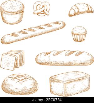 French loaf and round bread, wheat ears. Bakery goods, white and rye ...