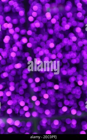 A vertical illustration of luxurious wallpaper pattern samples in different  colors Stock Photo - Alamy