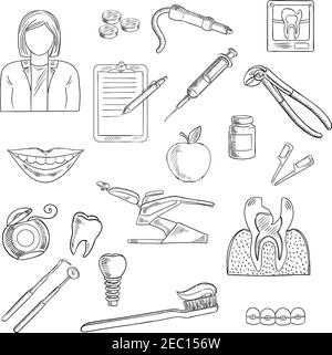 Tooth cross section icons set Stock Vector Image & Art - Alamy