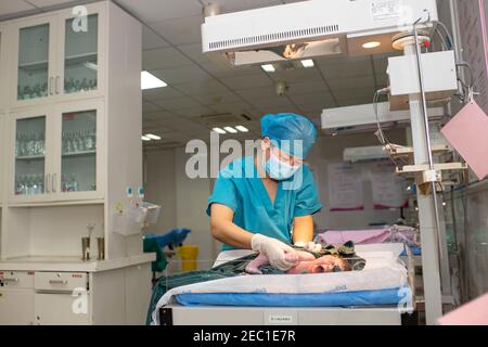 (210213) -- URUMQI, Feb. 13, 2021 (Xinhua) -- Midwife Ma Hongmei takes care of a newborn at the maternity ward of Urumqi Maternal and Child Health Hospital in Urumqi, northwest China's Xinjiang Uygur Autonomous Region, Feb. 12, 2021. With advanced equipment and sufficient personnel, Urumqi Maternal and Child Health Hospital has one of the most popular maternity wards in the region.Medical workers here stick to their posts during the Spring Festival vacation. To better control and prevent the COVID-19 pandemic, negative nucleic acid testing reports are required for all expectant mothers before Stock Photo