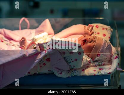 (210213) -- URUMQI, Feb. 13, 2021 (Xinhua) -- A baby born in the Year of the Ox is seen at the maternity ward of Urumqi Maternal and Child Health Hospital in Urumqi, northwest China's Xinjiang Uygur Autonomous Region, Feb. 12, 2021. With advanced equipment and sufficient personnel, Urumqi Maternal and Child Health Hospital has one of the most popular maternity wards in the region.Medical workers here stick to their posts during the Spring Festival vacation. To better control and prevent the COVID-19 pandemic, negative nucleic acid testing reports are required for all expectant mothers before t Stock Photo