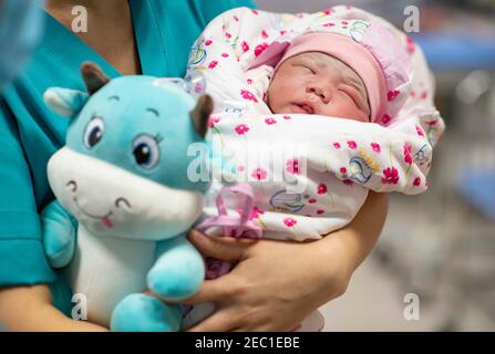 (210213) -- URUMQI, Feb. 13, 2021 (Xinhua) -- A baby born in the Year of the Ox is seen at the maternity ward of Urumqi Maternal and Child Health Hospital in Urumqi, northwest China's Xinjiang Uygur Autonomous Region, Feb. 12, 2021. With advanced equipment and sufficient personnel, Urumqi Maternal and Child Health Hospital has one of the most popular maternity wards in the region.Medical workers here stick to their posts during the Spring Festival vacation. To better control and prevent the COVID-19 pandemic, negative nucleic acid testing reports are required for all expectant mothers before t Stock Photo