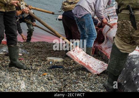 Lavrentiia, Chukotski region, Russia - August 5, 2020: The natives of Chukotka have caught a whale and are now cutting it into pieces. Stock Photo