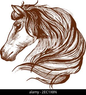 Graceful horse engraving sketch icon with profile of purebred stallion head with flowing mane. Use as equestrian sport symbol or horse club mascot des Stock Vector