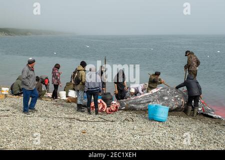 Lavrentiia, Chukotski region, Russia - August 5, 2020: The natives of Chukotka have caught a whale and are now cutting it into pieces. Stock Photo