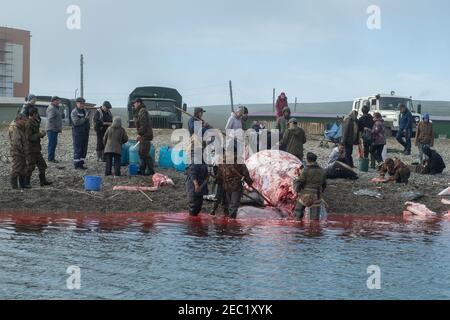 Lavrentiia, Chukotski region, Russia - August 5, 2020: The natives of Chukotka have caught a whale and are now cutting it into pieces. Stock Photo