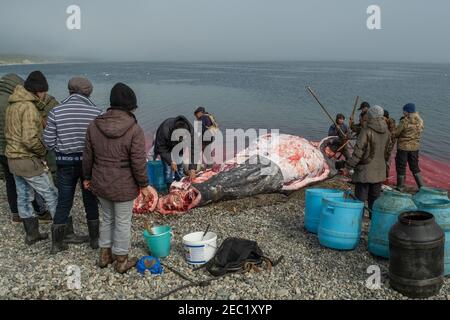 Lavrentiia, Chukotski region, Russia - August 5, 2020: The natives of Chukotka have caught a whale and are now cutting it into pieces. Stock Photo