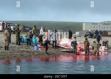 Lavrentiia, Chukotski region, Russia - August 5, 2020: The natives of Chukotka have caught a whale and are now cutting it into pieces. Stock Photo