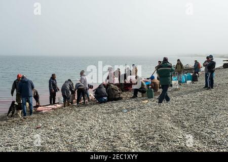 Lavrentiia, Chukotski region, Russia - August 5, 2020: The natives of Chukotka have caught a whale and are now cutting it into pieces. Stock Photo