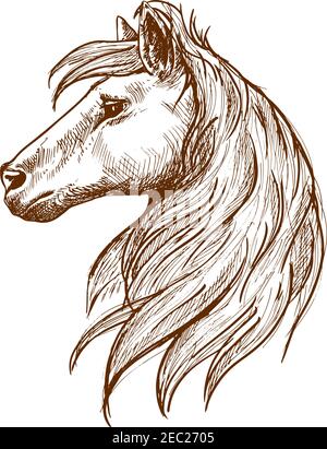 Wild horse head vintage engraving sketch symbol with profile of young stallion with long forelock and flowing curl of mane. Use as nature mascot or eq Stock Vector