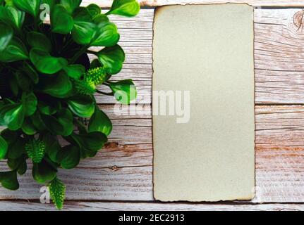 Burnt edge brown paper with space for text with green plant on wooden desk Stock Photo