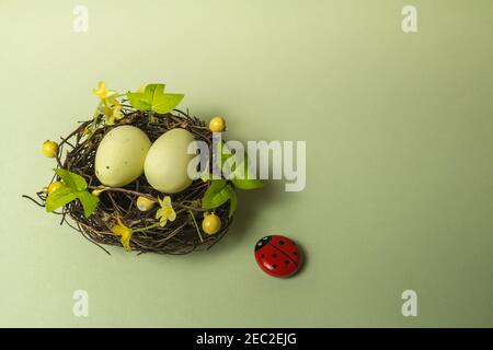 Easter decoration, eggs in a bird nest with yellow spring flowers and as ladybird painted stone on pistachio green background, top-down Stock Photo