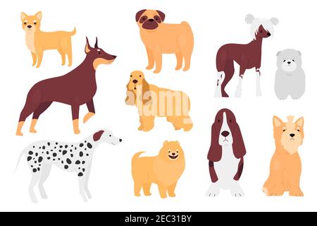 Dog pet vector illustration set. Cartoon doggy characters of different breeds sitting and standing in different poses collection, small adorable puppy, big domestic friend pet animal isolated on white Stock Vector