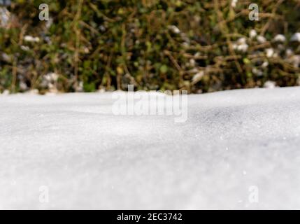 snow background surface plain pure winter green background Stock Photo