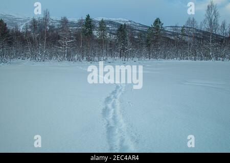 Winter field in Norway Stock Photo
