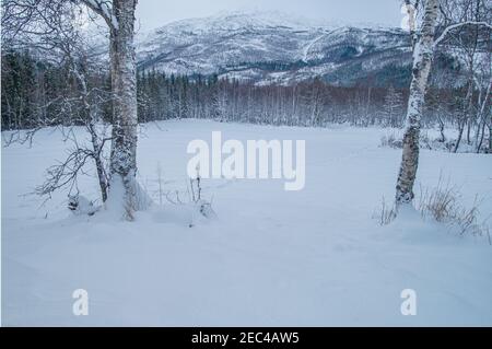 Winter field in Norway Stock Photo