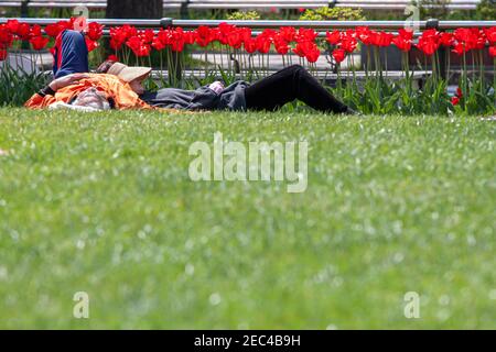 A couple of older pensioners lying on the grass in a park and resting, having a nap. Springtime.