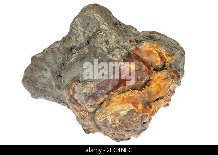 krantzite (amber) from Zeitz, Germany isolated on white background Stock Photo