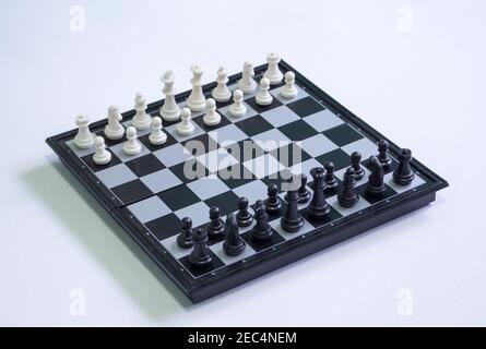 Chess on white background. Table game chess photo. Chess figures position for game start. Chessboard with figures. Strategy and intelligence concept. Stock Photo