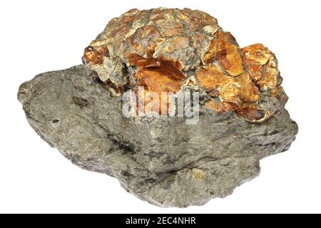 krantzite (amber) from Zeitz, Germany isolated on white background Stock Photo