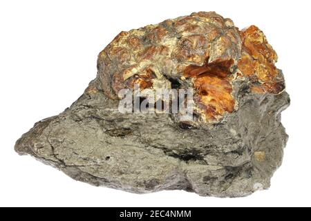 krantzite (amber) from Zeitz, Germany isolated on white background Stock Photo