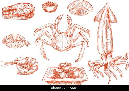 Sketch of raw seafood cuisine. Crab with claws and squid with tentacles, shrimp and salmon dish, rolls on board and sushi with rice, organic caviar or Stock Vector