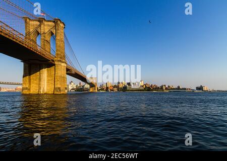 The view of the Brooklyn Bridge from Manhattan and a seagull flying across the East River Stock Photo
