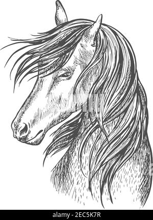 Horse Pencil Sketch Vector Images (over 520)