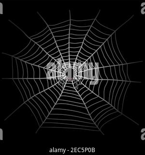 spider web and spider in the dark Stock Vector