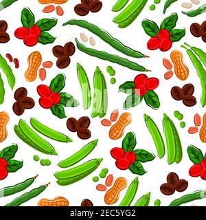 Legumes and beans background with fresh fruit and roasted bean of coffee, peanut, pods and grains of sweet pea and kidney bean seamless pattern. Veget Stock Vector