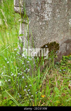 Grave in Llantysilio chuchyard, Wales Stock Photo