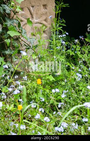 Grave in Llantysilio chuchyard, Wales Stock Photo