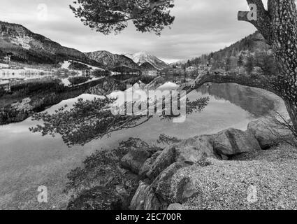 Grayscale. Cloudy winter Alpine  lake Grundlsee view (Austria) with fantastic pattern-reflection on the water surface and pine tree on shore. Stock Photo