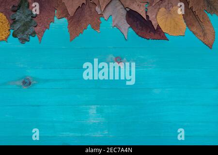 Flat lay of wooden blue background with autumn dry leaves. Wood planks surface for copy space. Autumn concept. Stock Photo