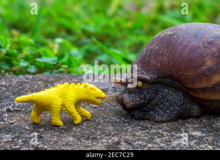 Yellow dinosaur puppet and Giant snail in garden. Funny monsters macro photo. Small animal with shell. Lost toy concept image. Land mollusk Achatina f Stock Photo