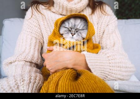 Woman in cozy sweater with cute cat in plaid. Cat warming under a soft blanket. Cozy domestic lifestyle Stock Photo
