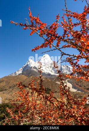 autumn in the mountains, Ama Dablam peak on the background, Himalayas in Nepal, trekking to Everest Base Camp, expedition to mount Amadablam Stock Photo