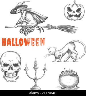 Halloween witch flying on broom, scary pumpkin with fire eyes, black cat, human skeleton skull, candlestick, cauldron with boiling magic potion. Hallo Stock Vector