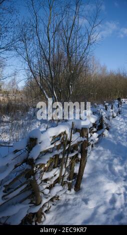 Snow covered dead hedge fence Stock Photo