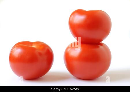 Tomatos isolated on white background Stock Photo