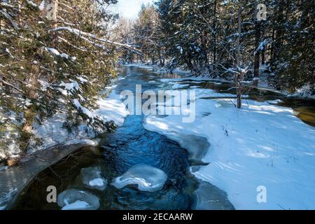 Partially frozen river flowing through forest Stock Photo