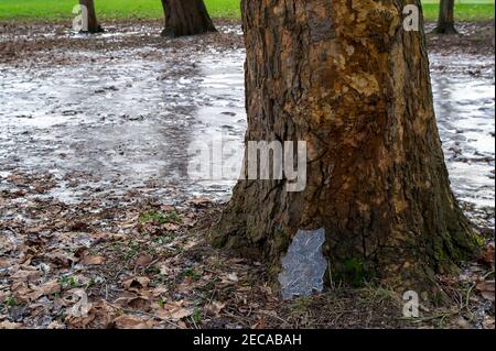 Eton, Windsor, Berkshire, UK. 13th February, 2021. Following freezing temperatures and flooding over the past the few days, parts of the playing fields at Eton College have iced over. Temperatures are set to rise again next week bringing a welcome end to the cold snap. Credit: Maureen McLean/Alamy Live News Stock Photo