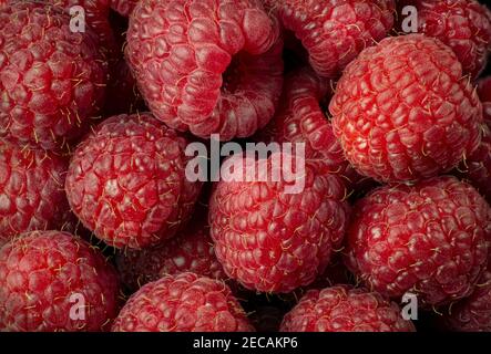 Macro view of ripe red raspberries (Rubus idaeus). Stock Photo