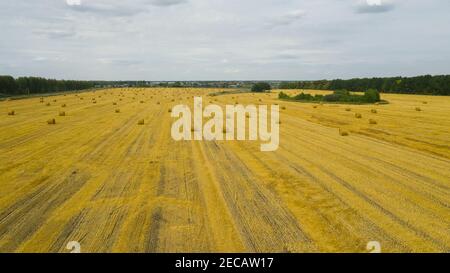 Aerial view of a mowed field of wheat with abandoned sheaves of straw. Wheatfield with sheaves after harvest. Stock Photo