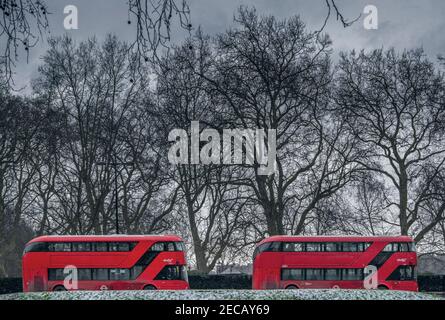 Red London buses in the snow; winter trees, no people, London, UK Stock Photo
